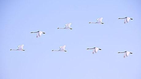 或避免与《街霸6》撞车 《铁拳8》选择明年发售